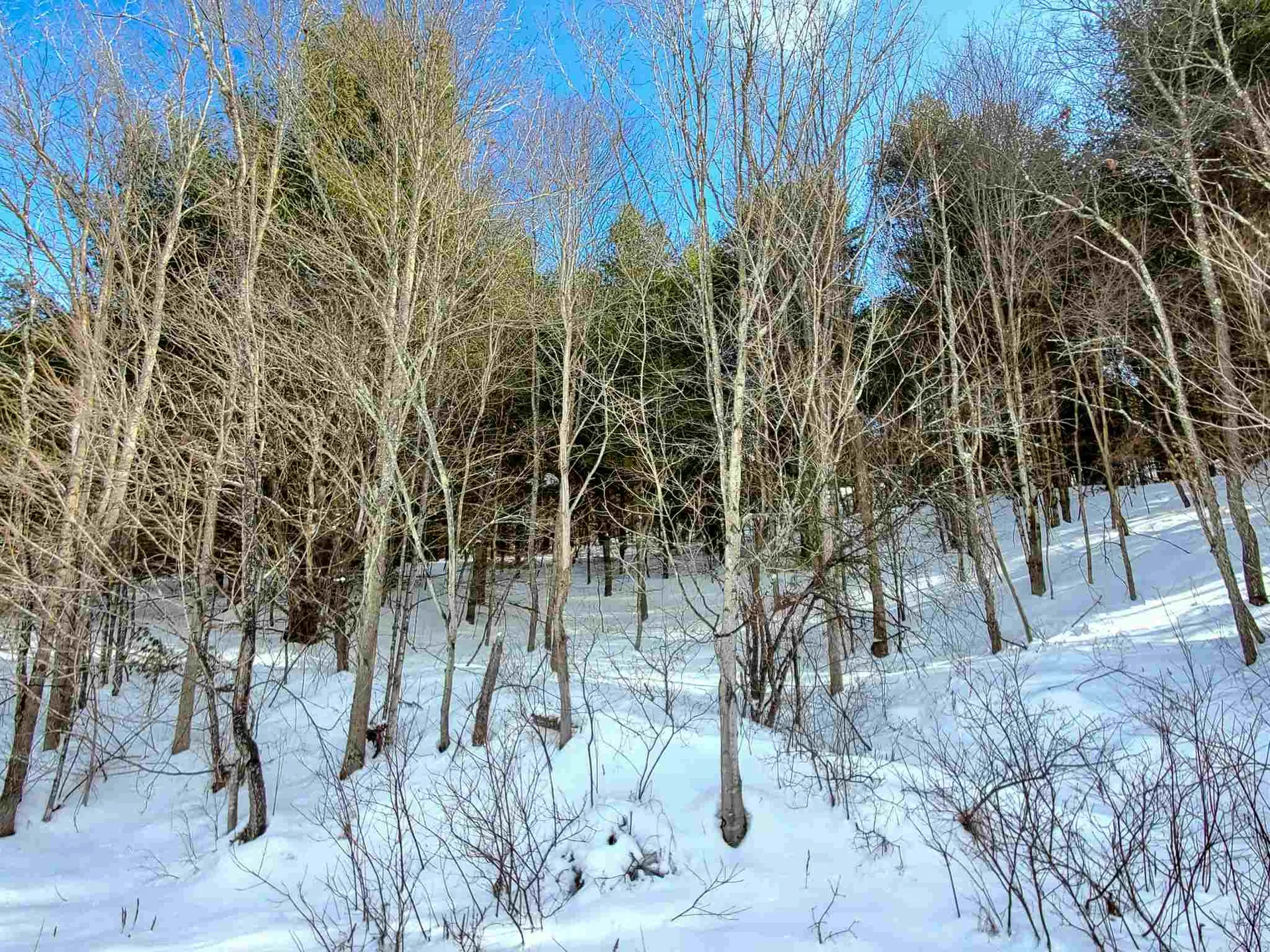 203 Slack Hill Road Royalton VT 05068