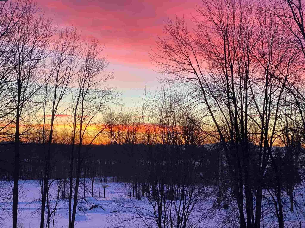 155 Savage Point Road North Hero VT 05474