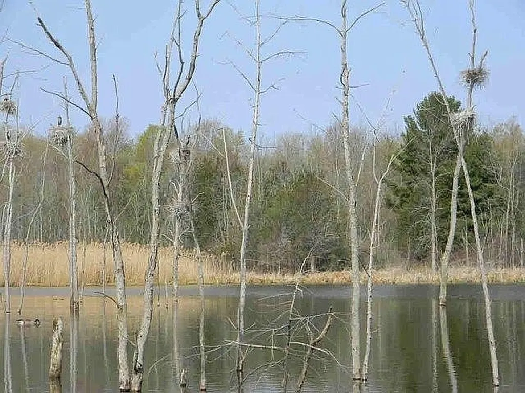 155 Savage Point Road North Hero VT 05474