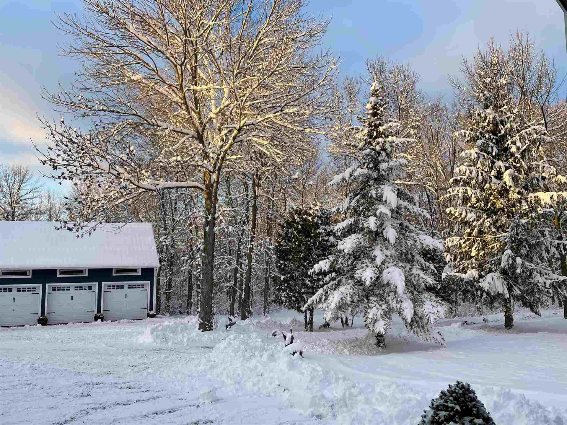 155 Savage Point Road North Hero VT 05474