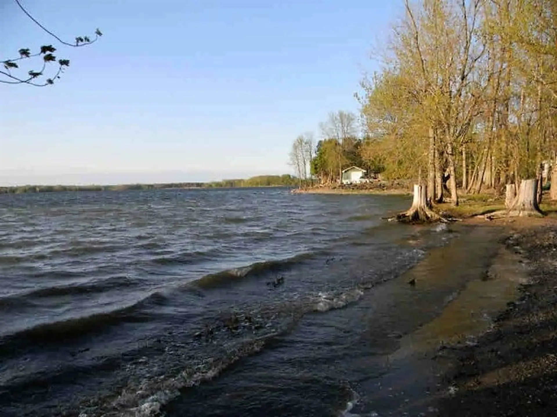 155 Savage Point Road North Hero VT 05474