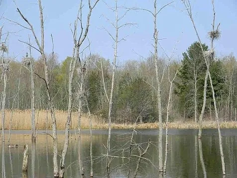 155 Savage Point Road North Hero VT 05474