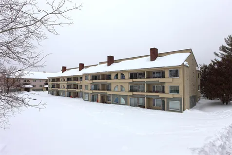 2X Carinthia Road Dover VT 05356