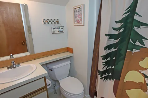 2X Carinthia Road Dover VT 05356