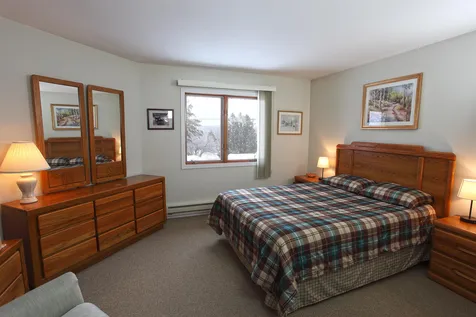 2X Carinthia Road Dover VT 05356