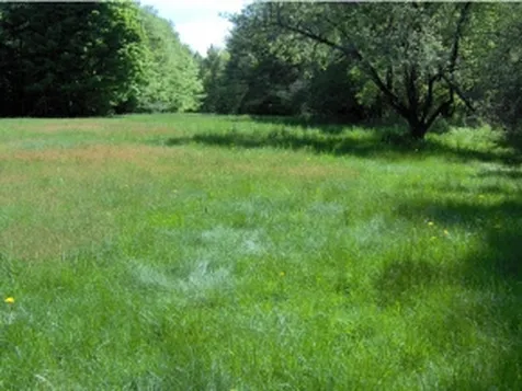 2456 Hebard Hill Road Randolph VT 05060