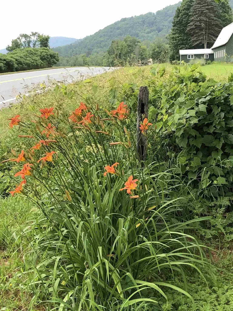 9393 Vt Route 12 Barnard VT 05031