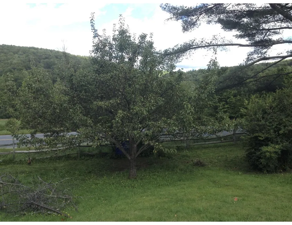 9393 Vt Route 12 Barnard VT 05031