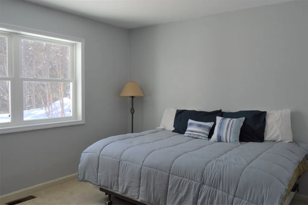 109 Alpine Drive Mount Holly VT 05758