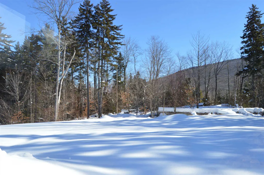 109 Alpine Drive Mount Holly VT 05758