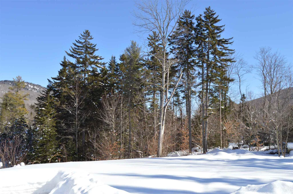 109 Alpine Drive Mount Holly VT 05758