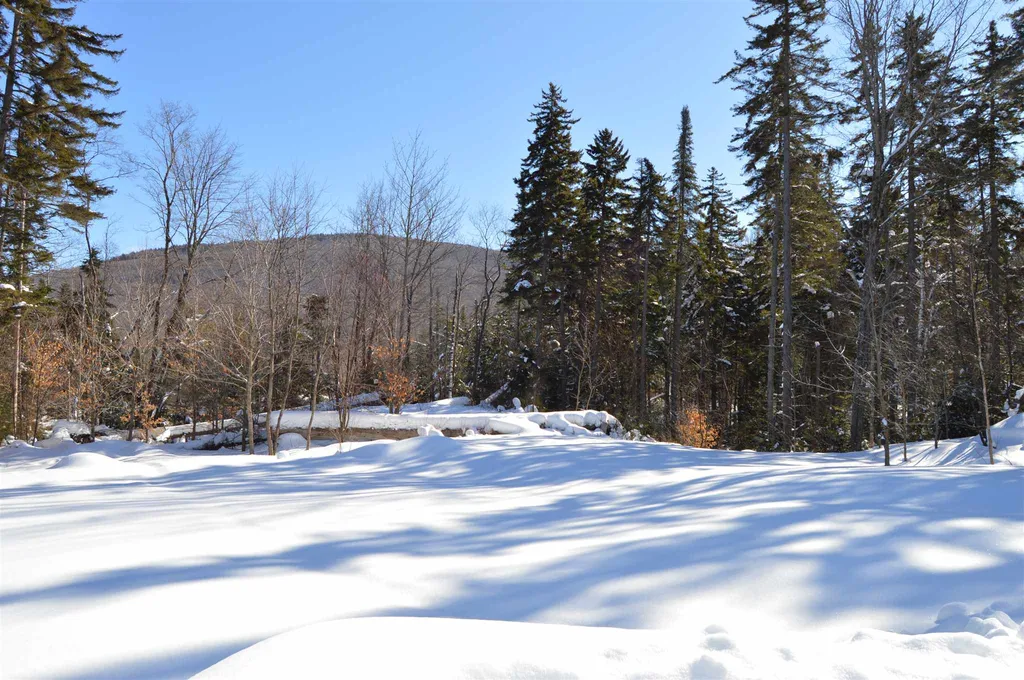 109 Alpine Drive Mount Holly VT 05758