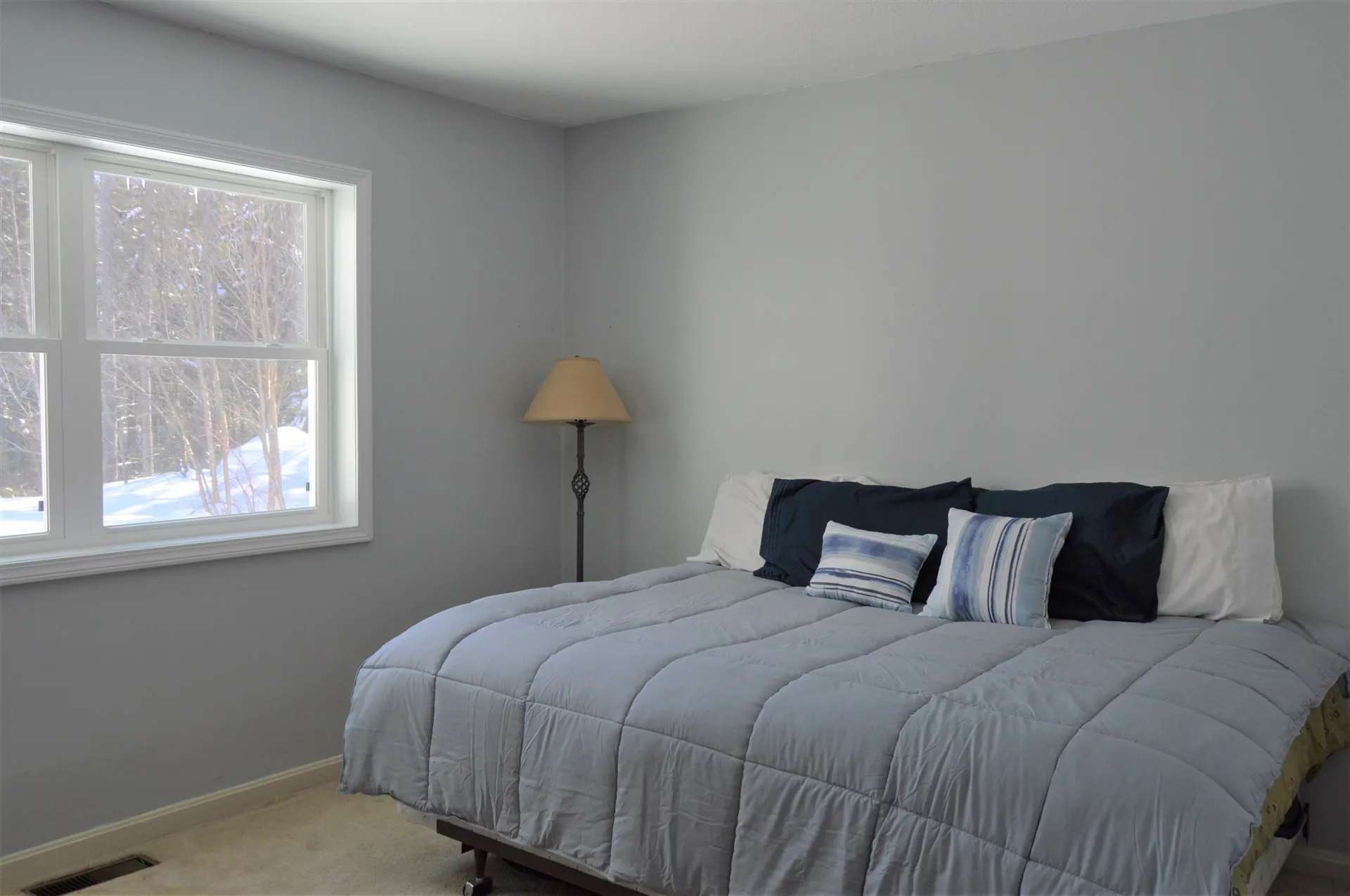 109 Alpine Drive Mount Holly VT 05758