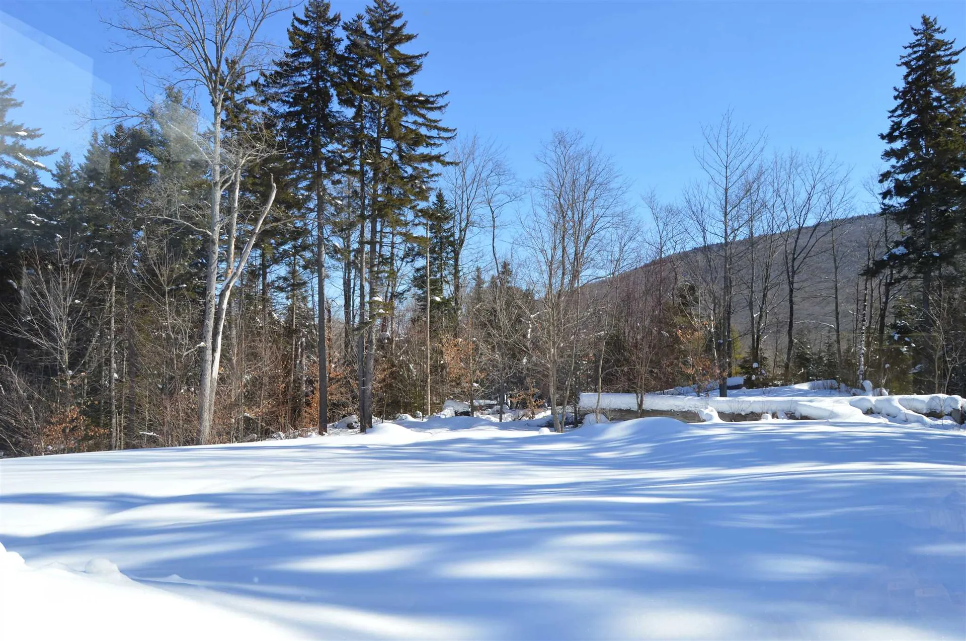 109 Alpine Drive Mount Holly VT 05758