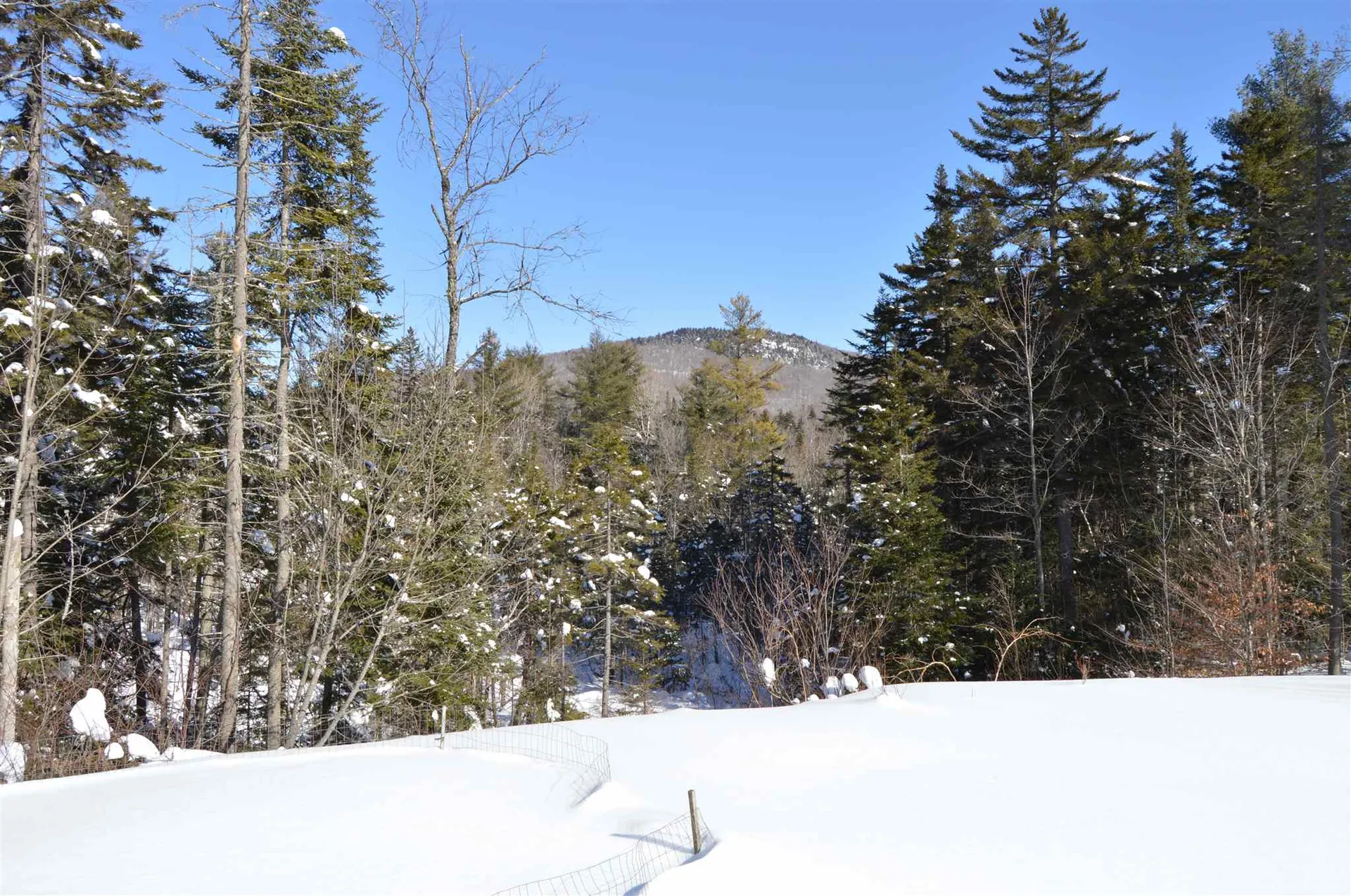 109 Alpine Drive Mount Holly VT 05758