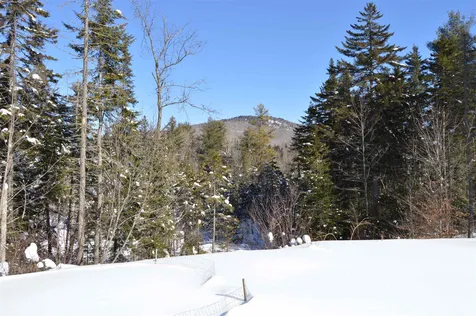 109 Alpine Drive Mount Holly VT 05758