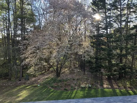 142 Acorn Lane Shelburne VT 05482