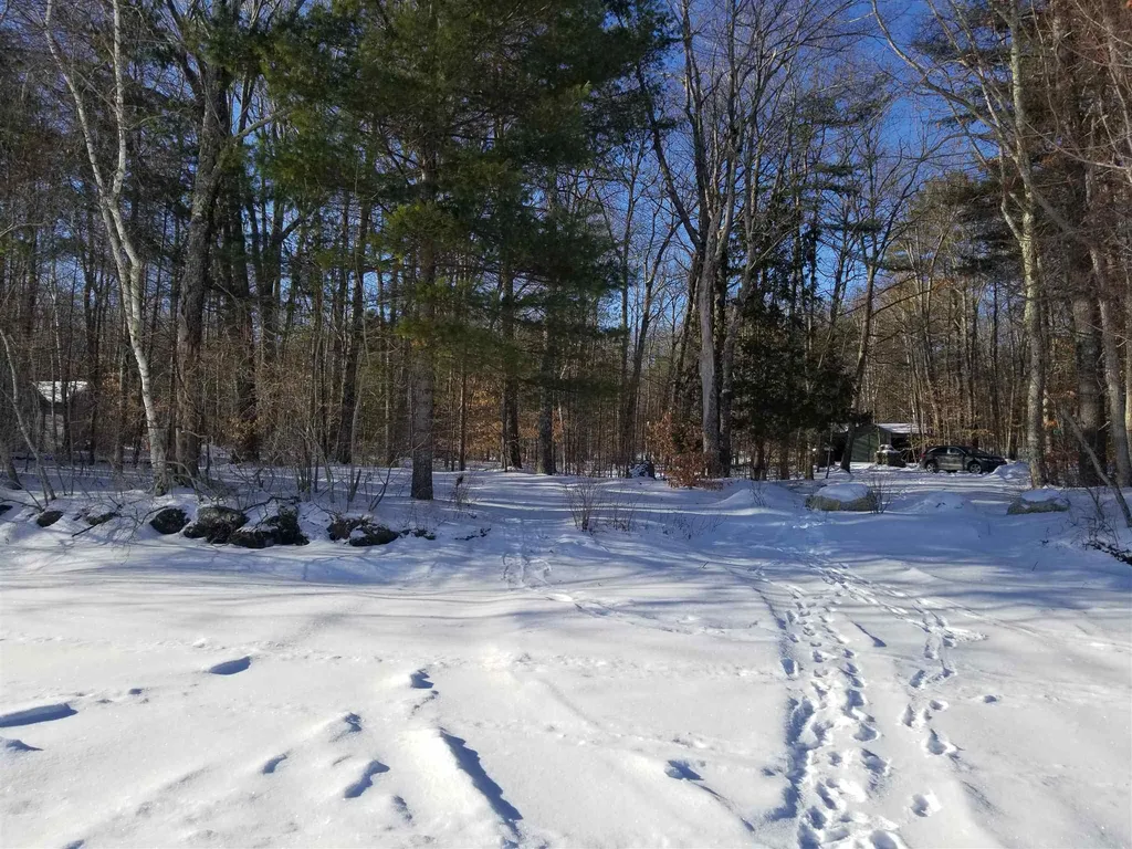 Lot 8 Geneva Point Road Moultonborough NH 03254