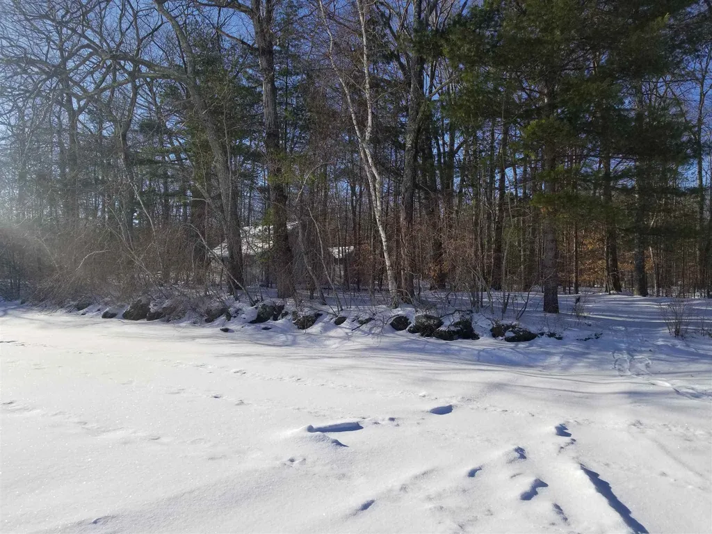 Lot 8 Geneva Point Road Moultonborough NH 03254