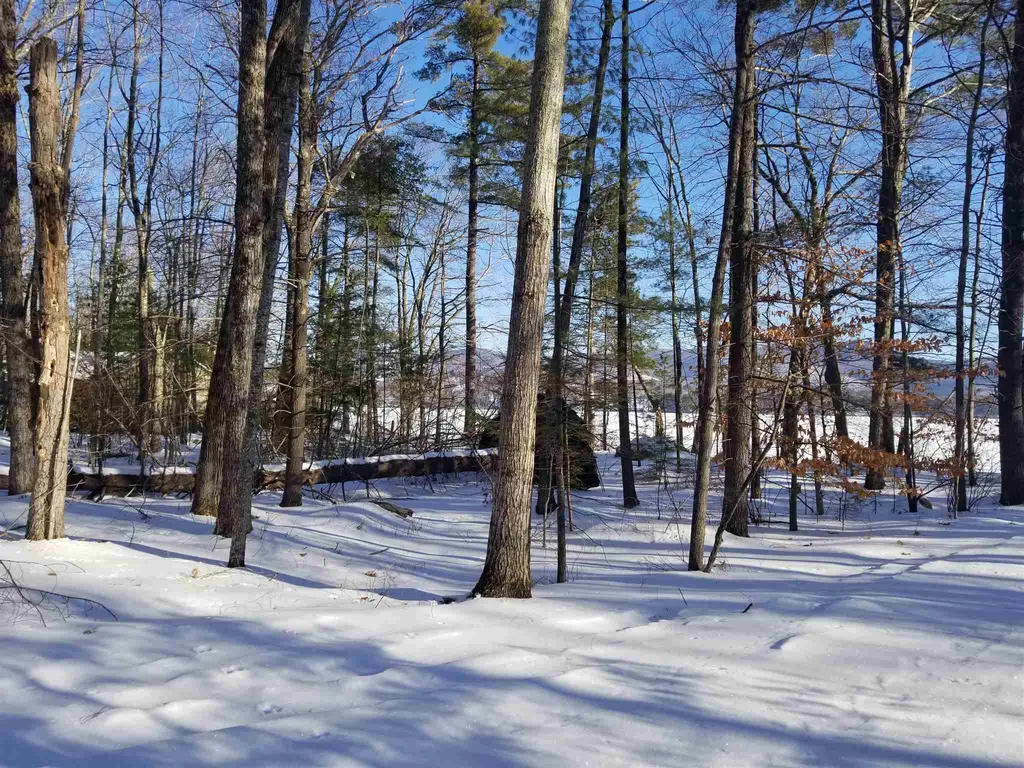 Lot 8 Geneva Point Road Moultonborough NH 03254