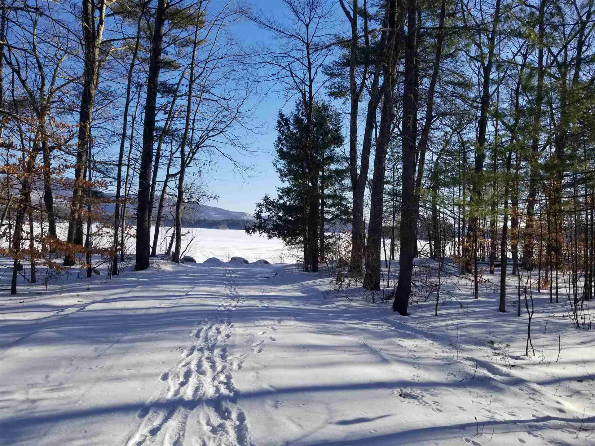 Lot 8 Geneva Point Road Moultonborough NH 03254
