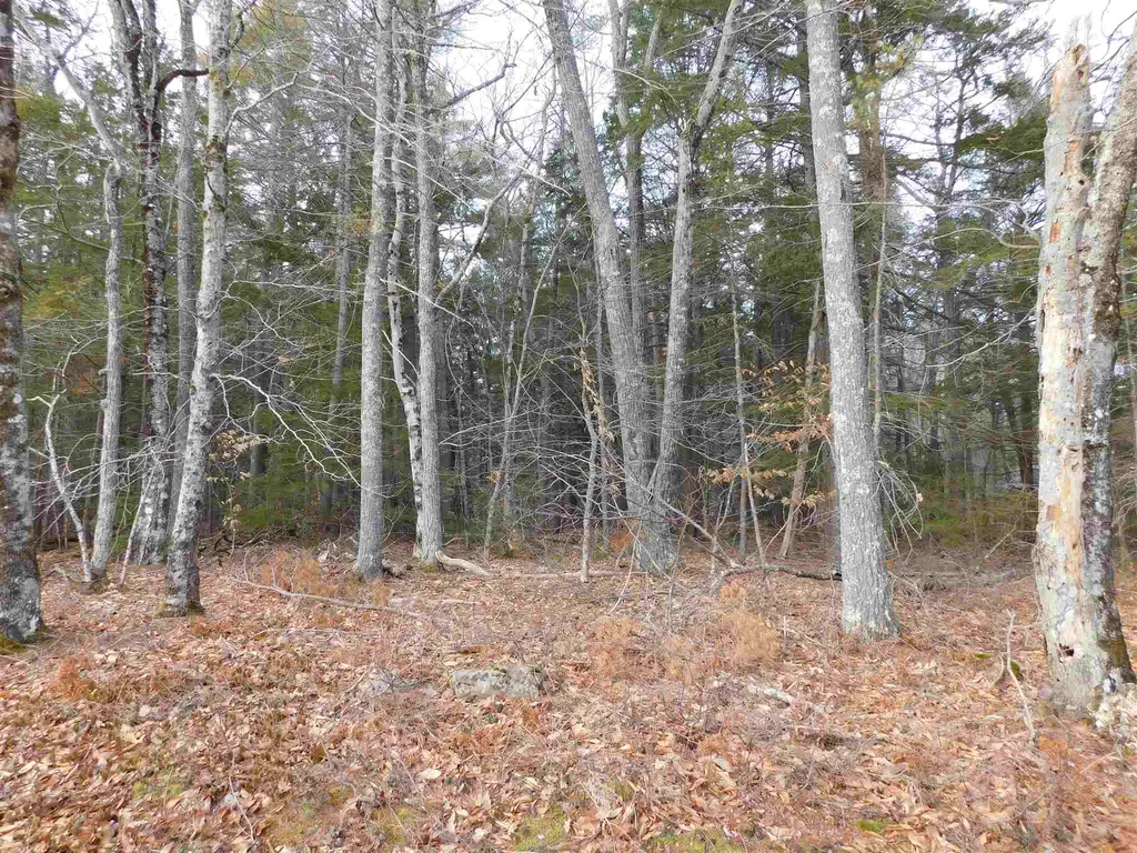 0 Arbutus Avenue Wakefield NH 03872