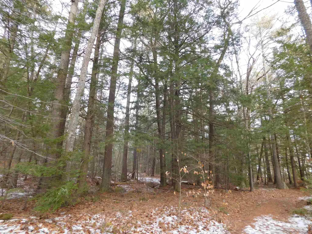 0 Arbutus Avenue Wakefield NH 03872