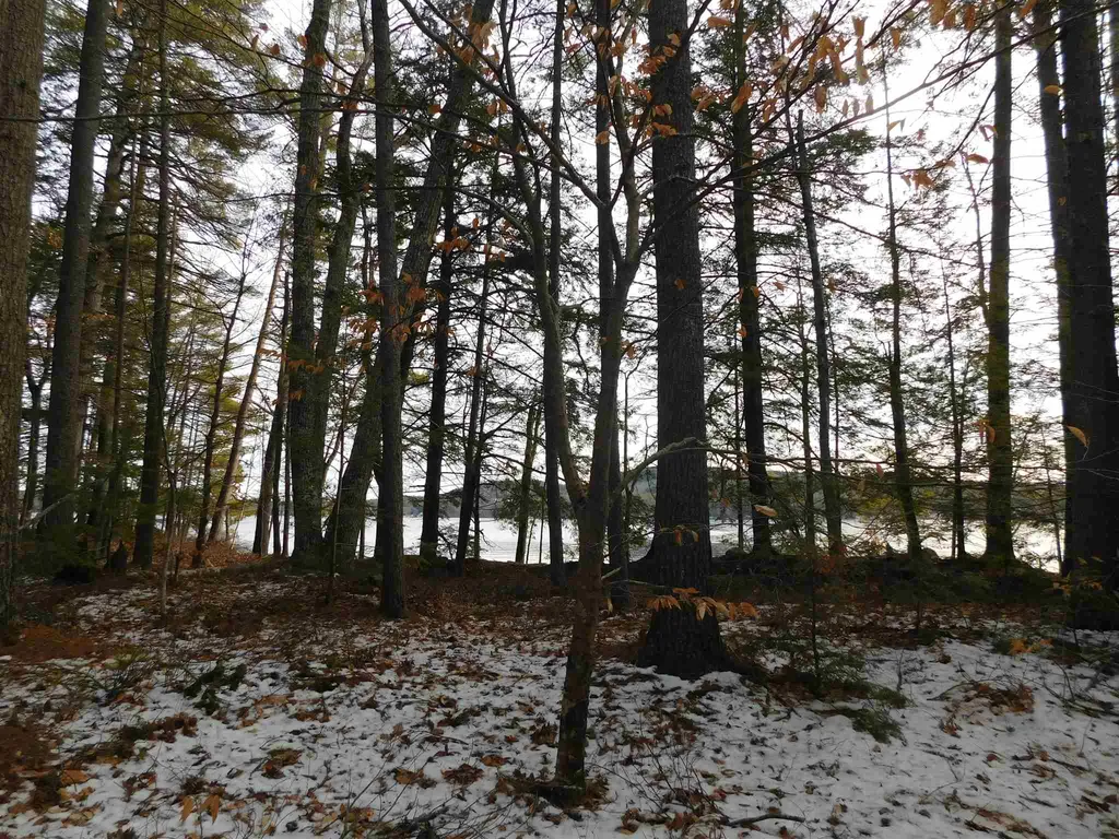 0 Arbutus Avenue Wakefield NH 03872