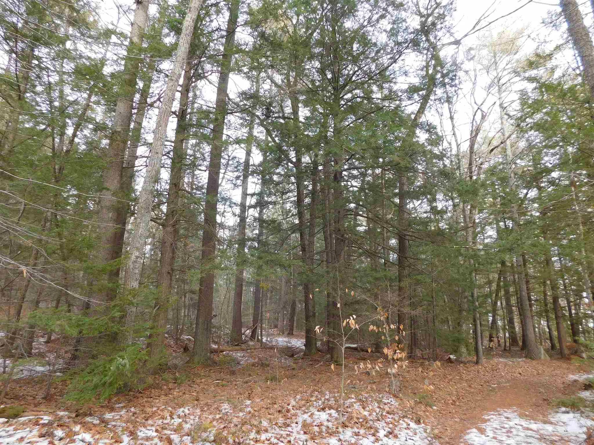0 Arbutus Avenue Wakefield NH 03872