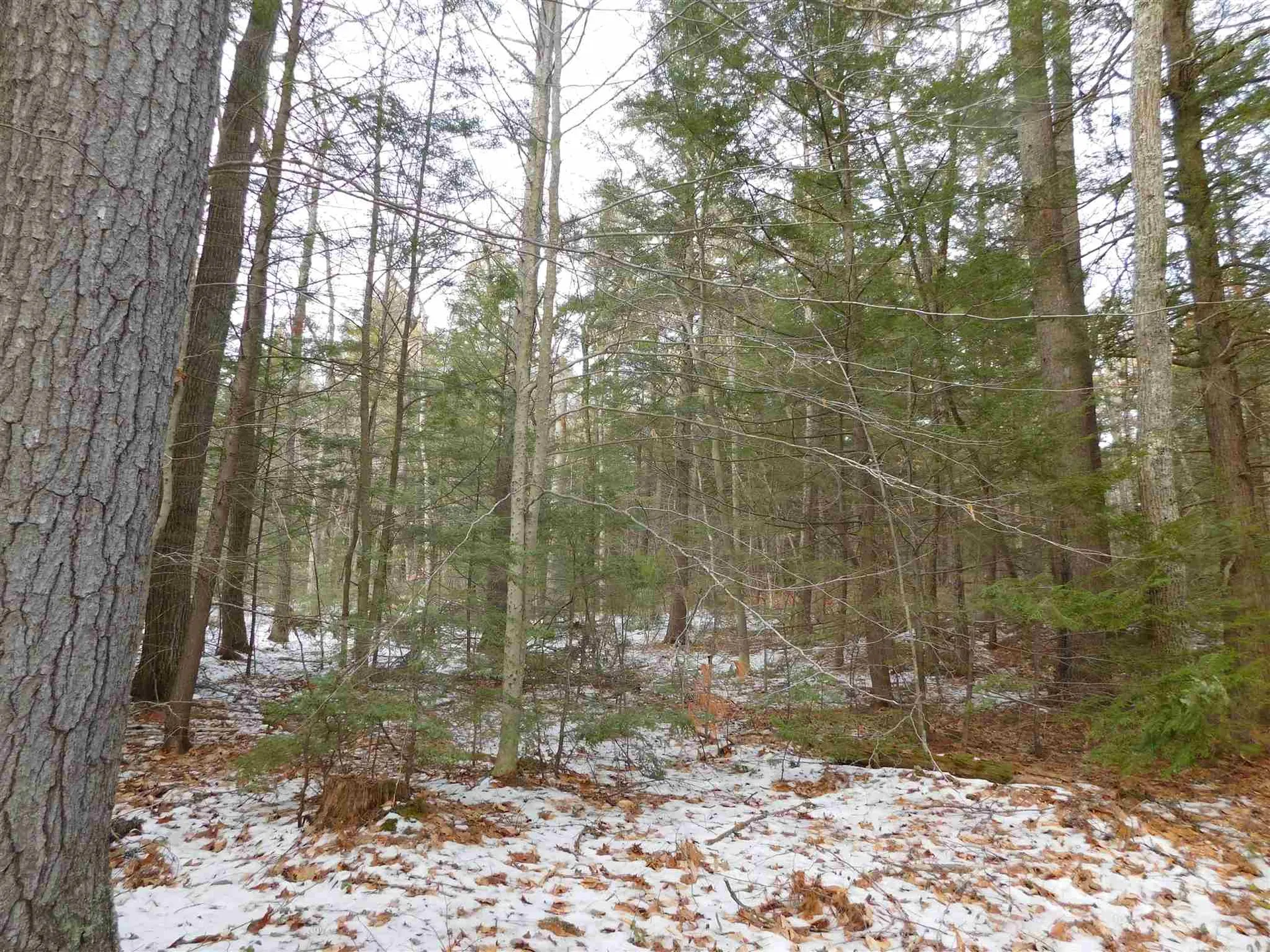 0 Arbutus Avenue Wakefield NH 03872