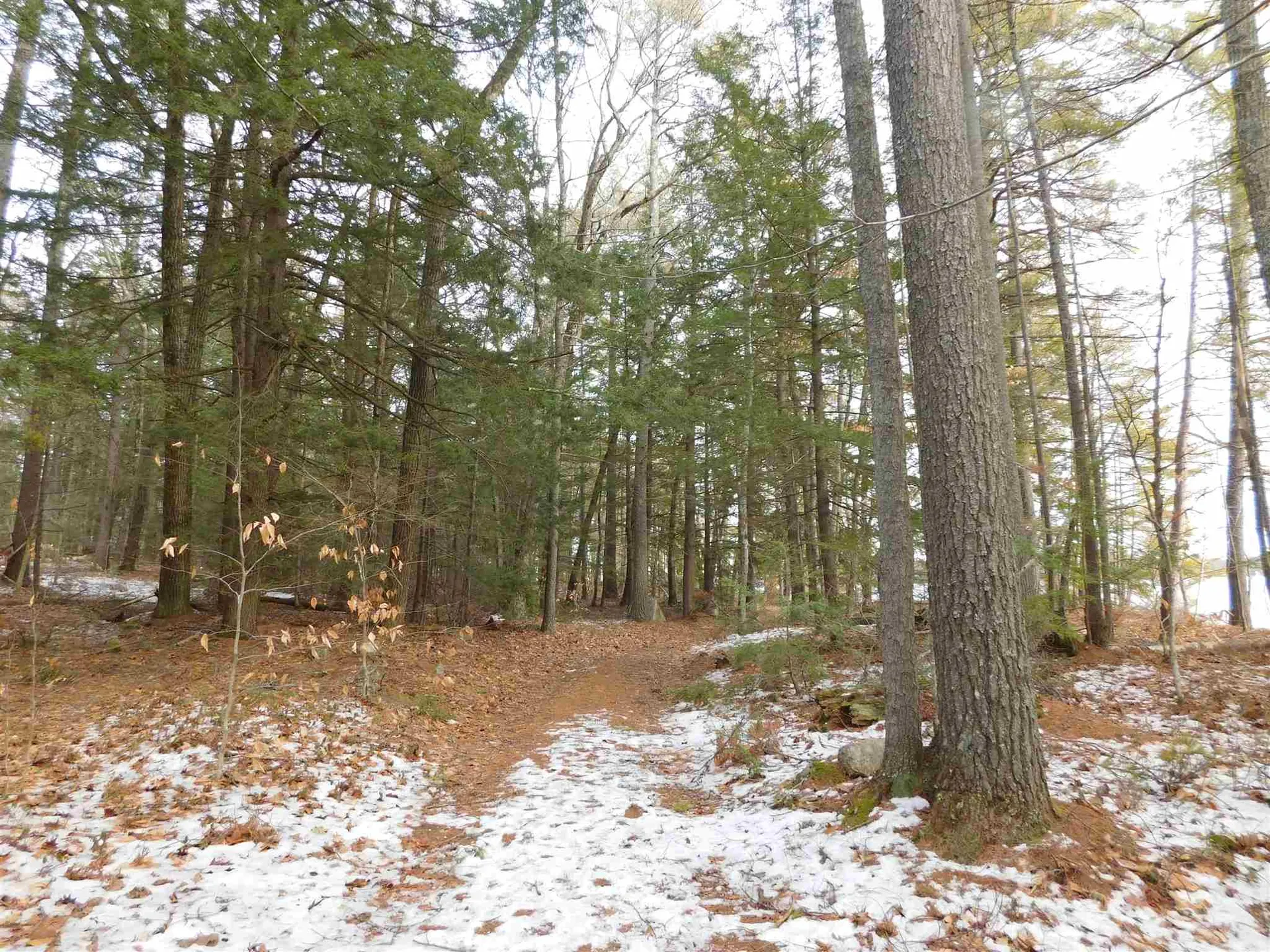 0 Arbutus Avenue Wakefield NH 03872