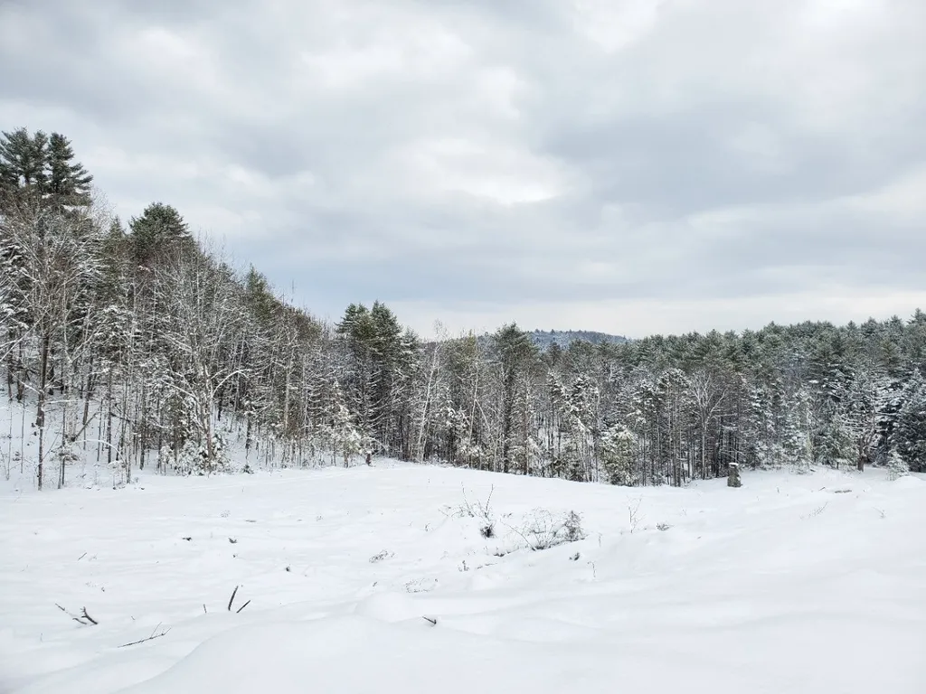 471 Fish Pond Road Newbury VT 05051