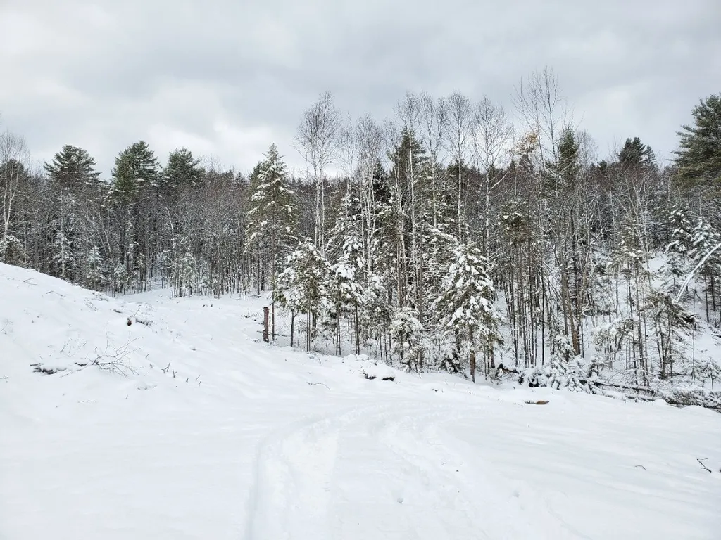 471 Fish Pond Road Newbury VT 05051