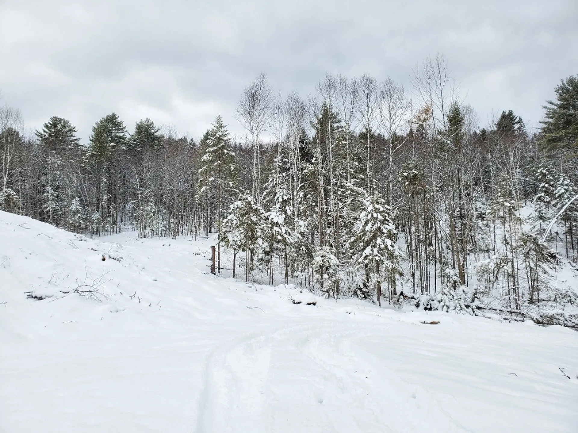 471 Fish Pond Road Newbury VT 05051