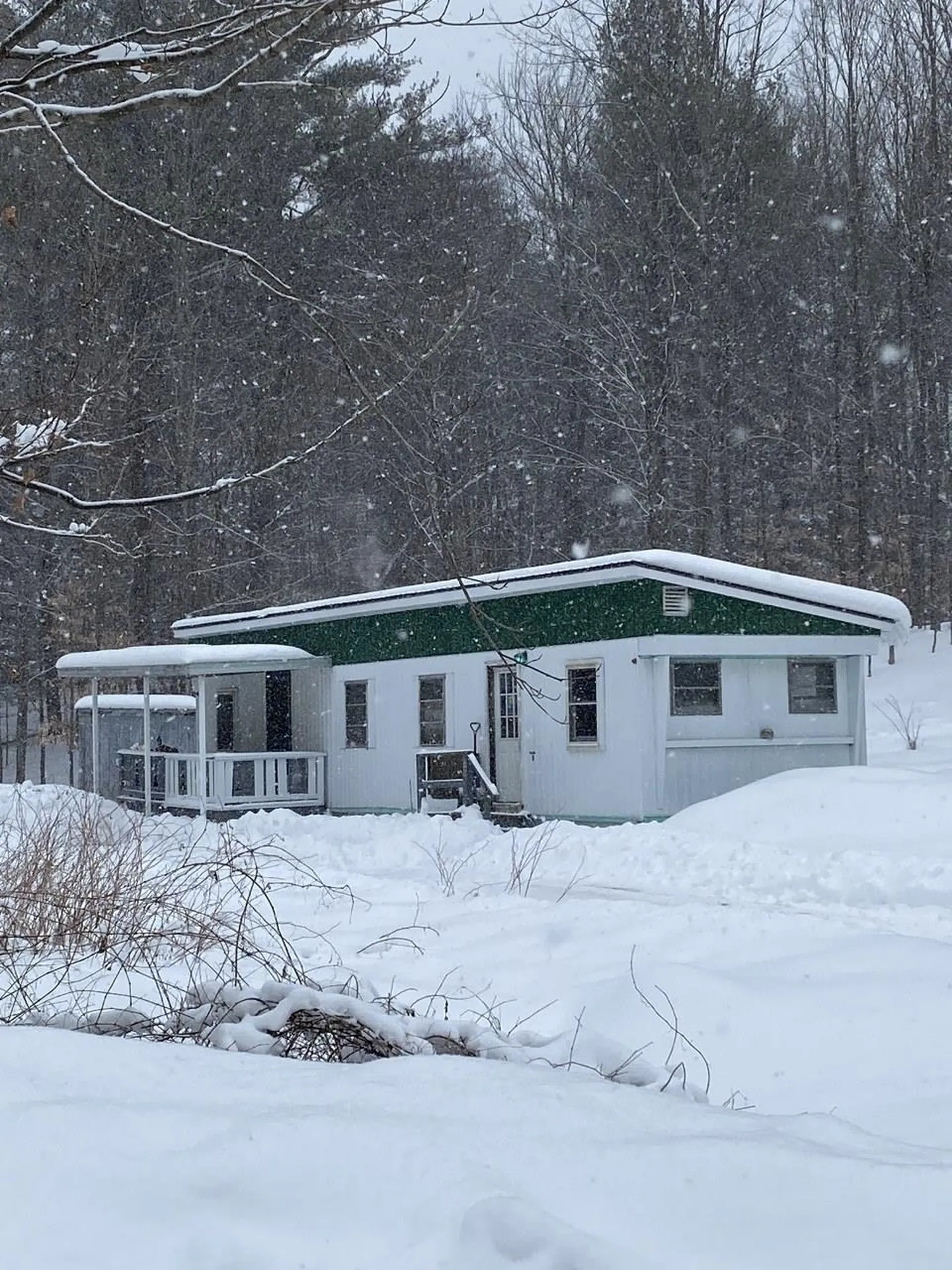 120 Dutton District Road Springfield VT 05156