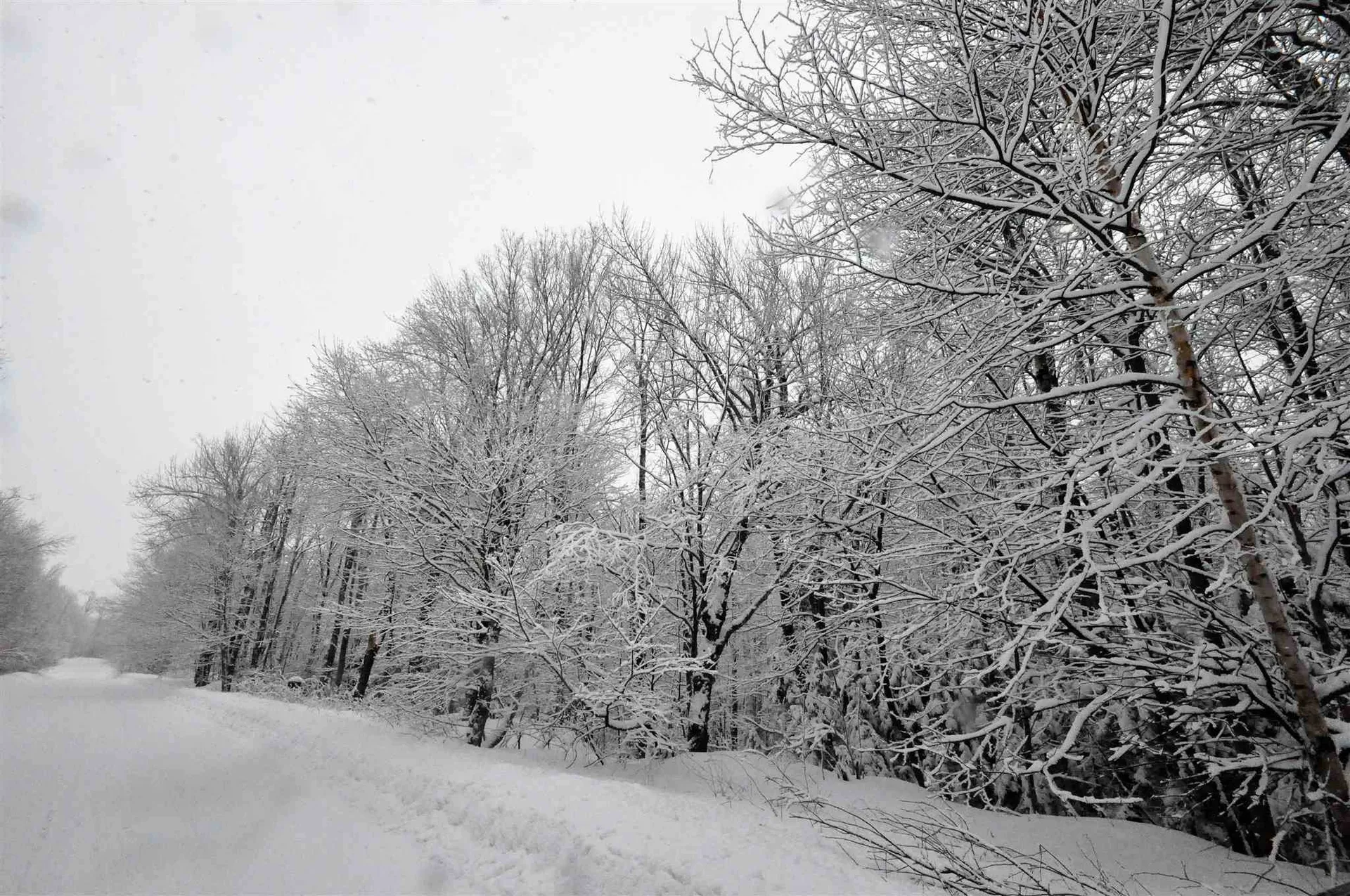 31 Woodsman Road Dover VT 05356