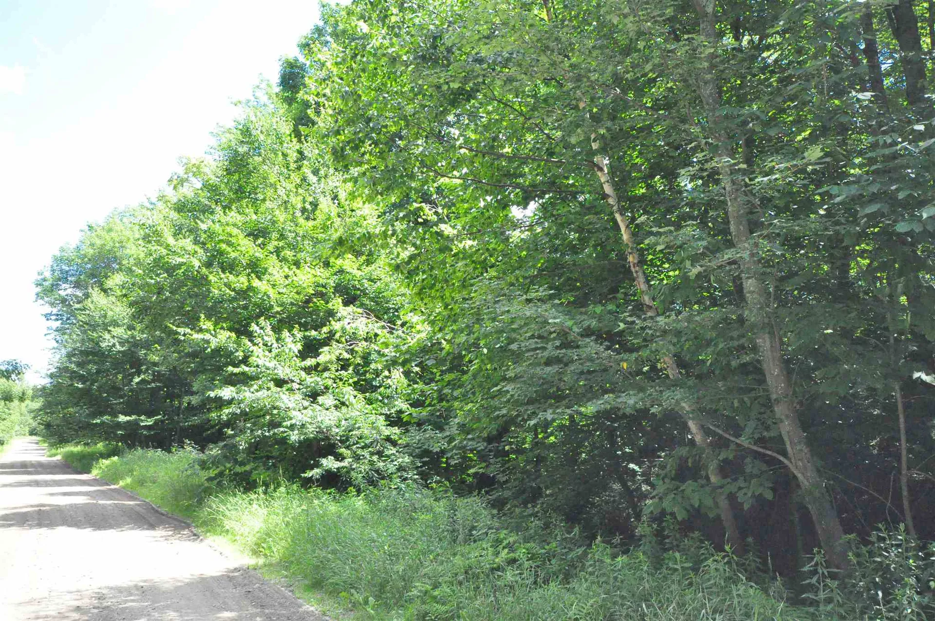 31 Woodsman Road Dover VT 05356