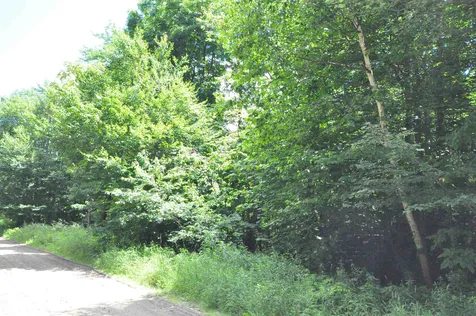 31 Woodsman Road Dover VT 05356