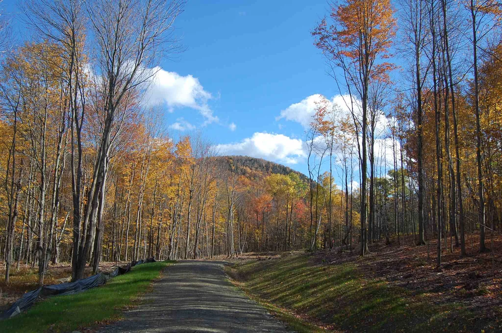 1923 German Flats Road Fayston VT 05673