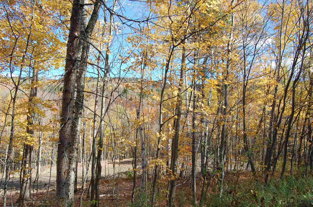 1923 German Flats Road Fayston VT 05673