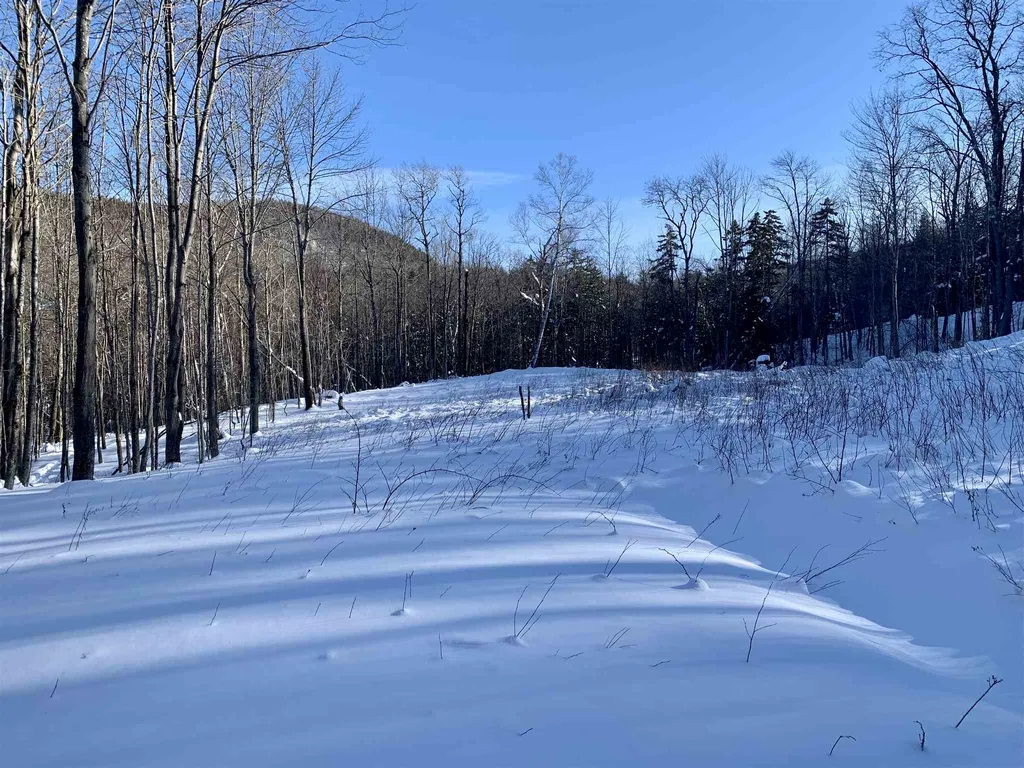 1923 German Flats Road Fayston VT 05673