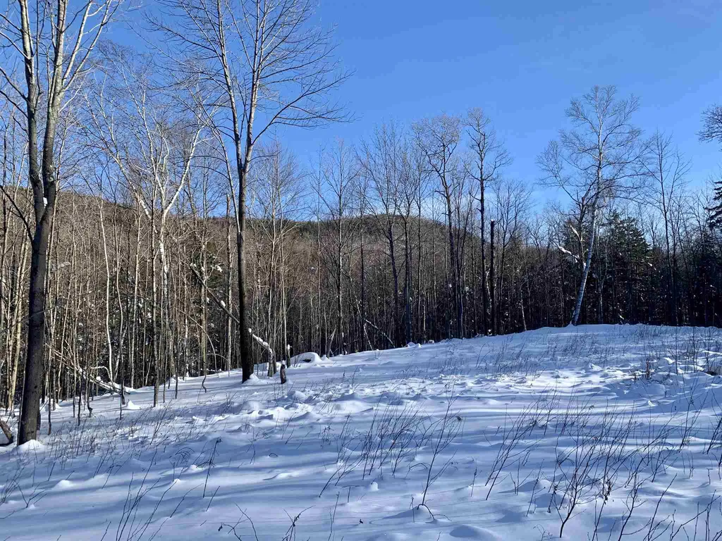 1923 German Flats Road Fayston VT 05673