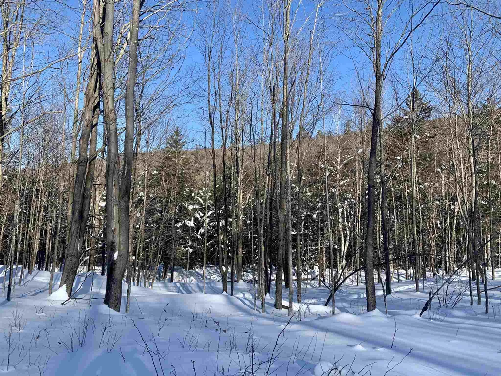 1923 German Flats Road Fayston VT 05673