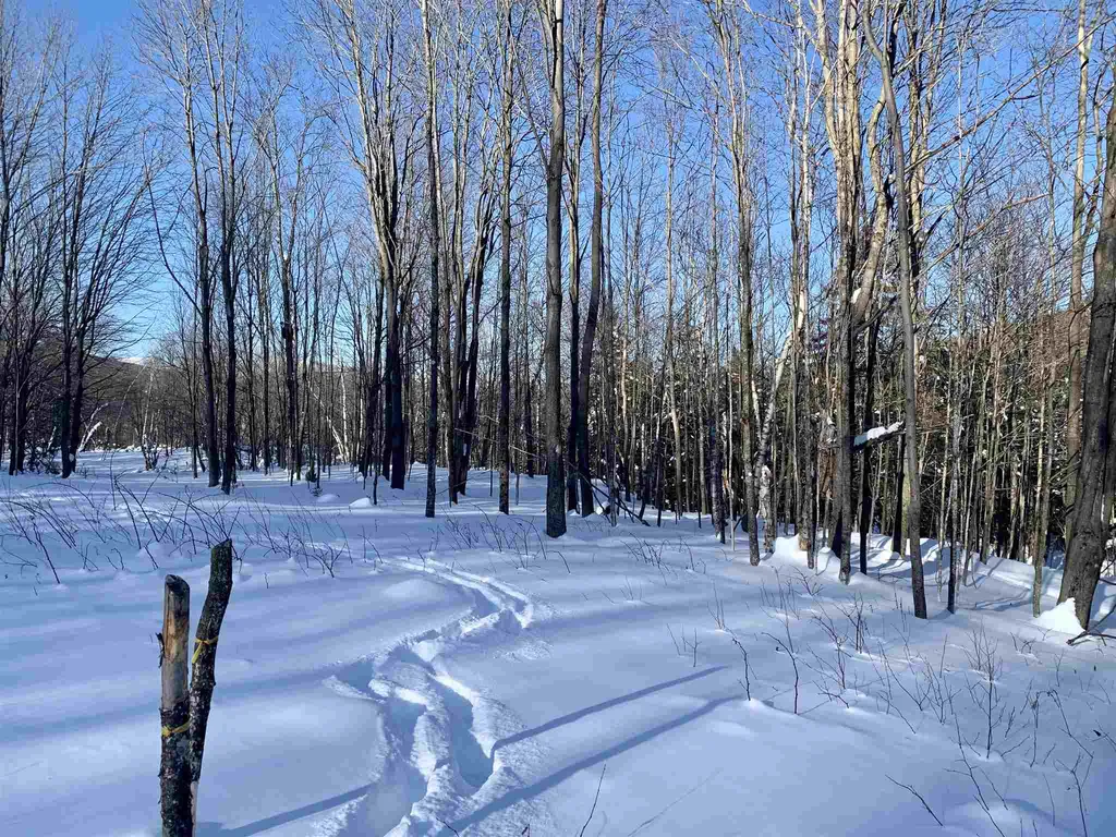 1923 German Flats Road Fayston VT 05673