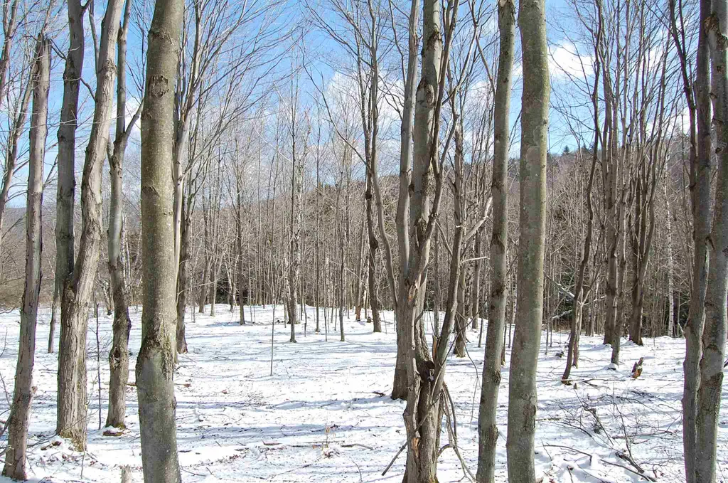 1923 German Flats Road Fayston VT 05673