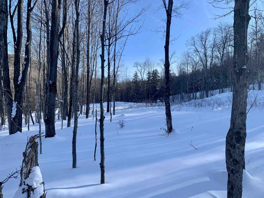 1923 German Flats Road Fayston VT 05673