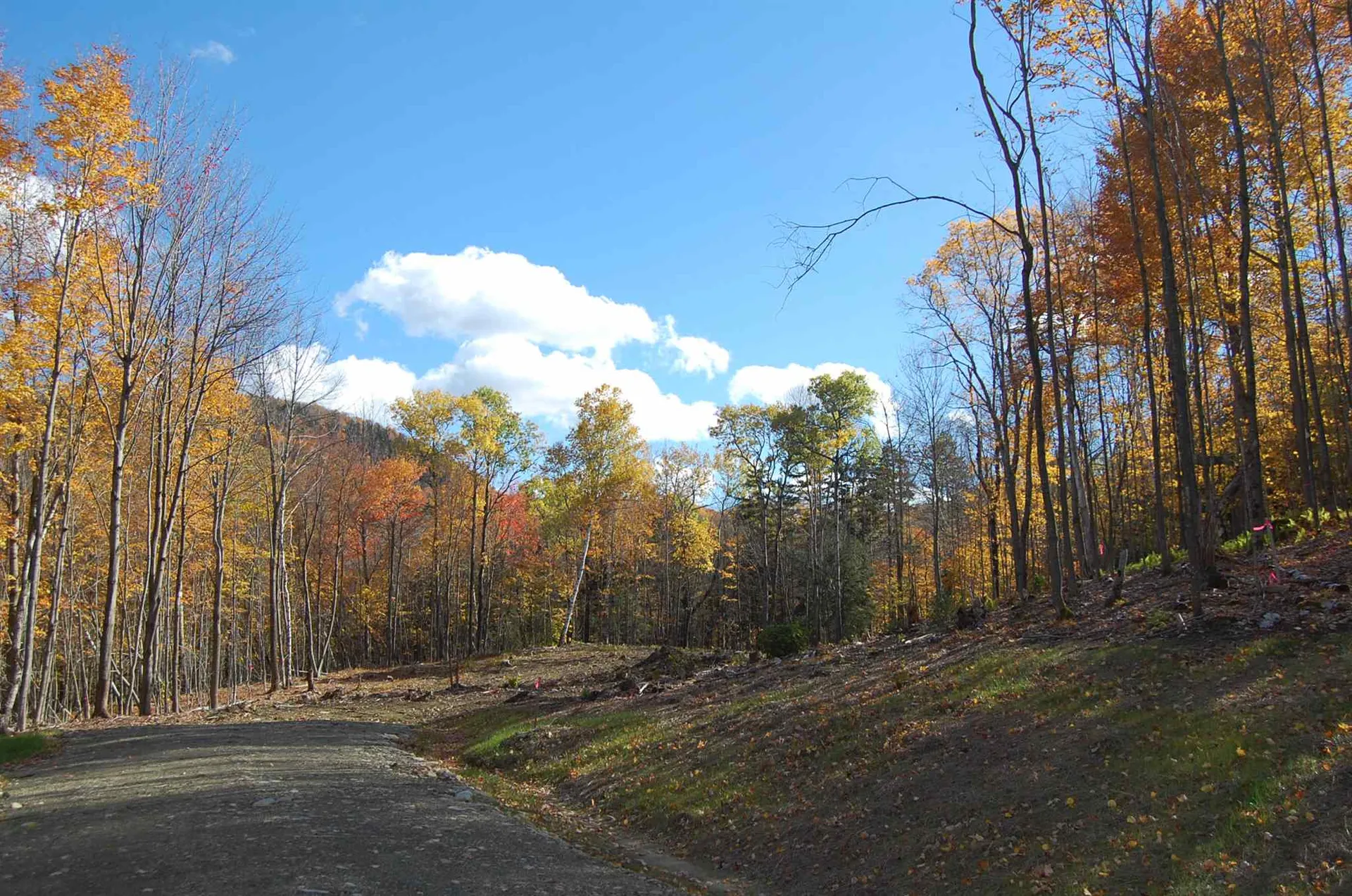 1923 German Flats Road Fayston VT 05673