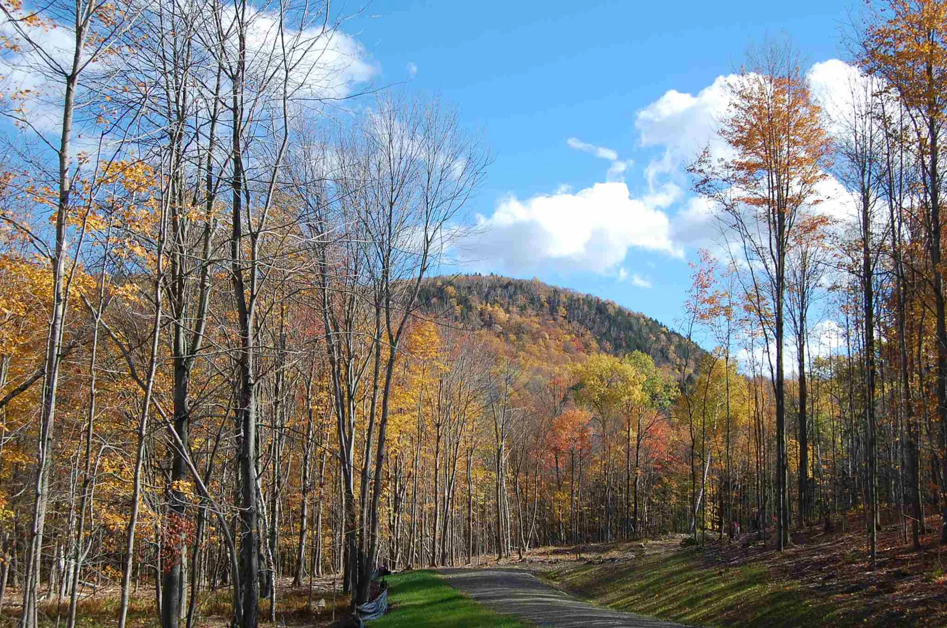 1923 German Flats Road Fayston VT 05673