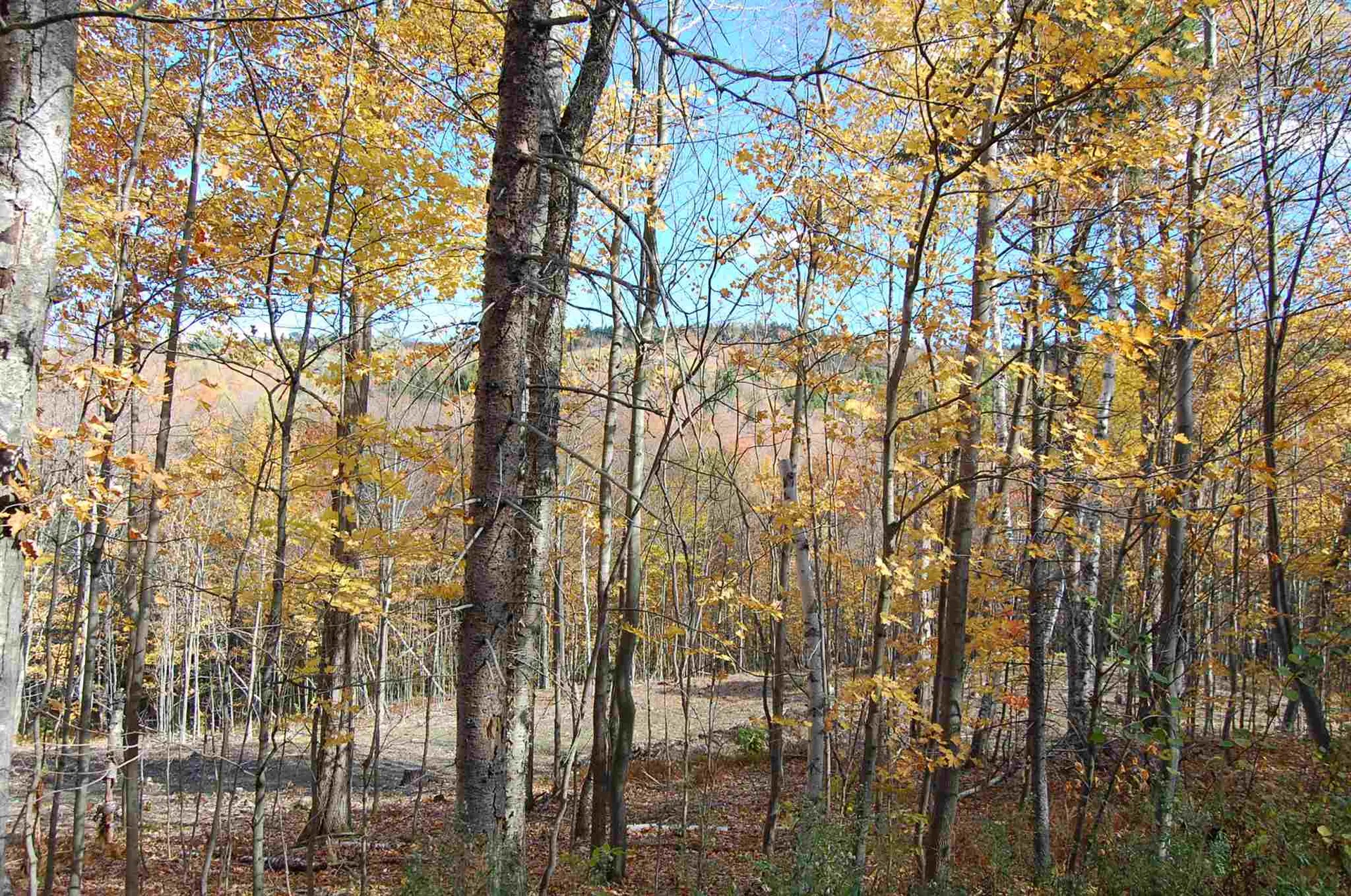 1923 German Flats Road Fayston VT 05673