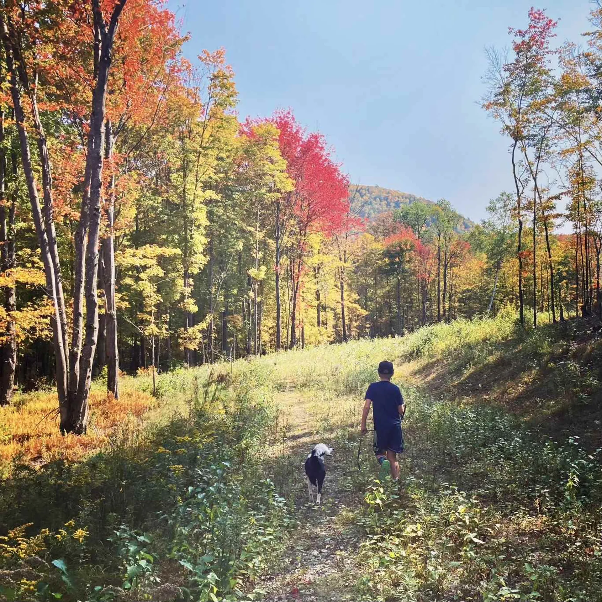 1923 German Flats Road Fayston VT 05673